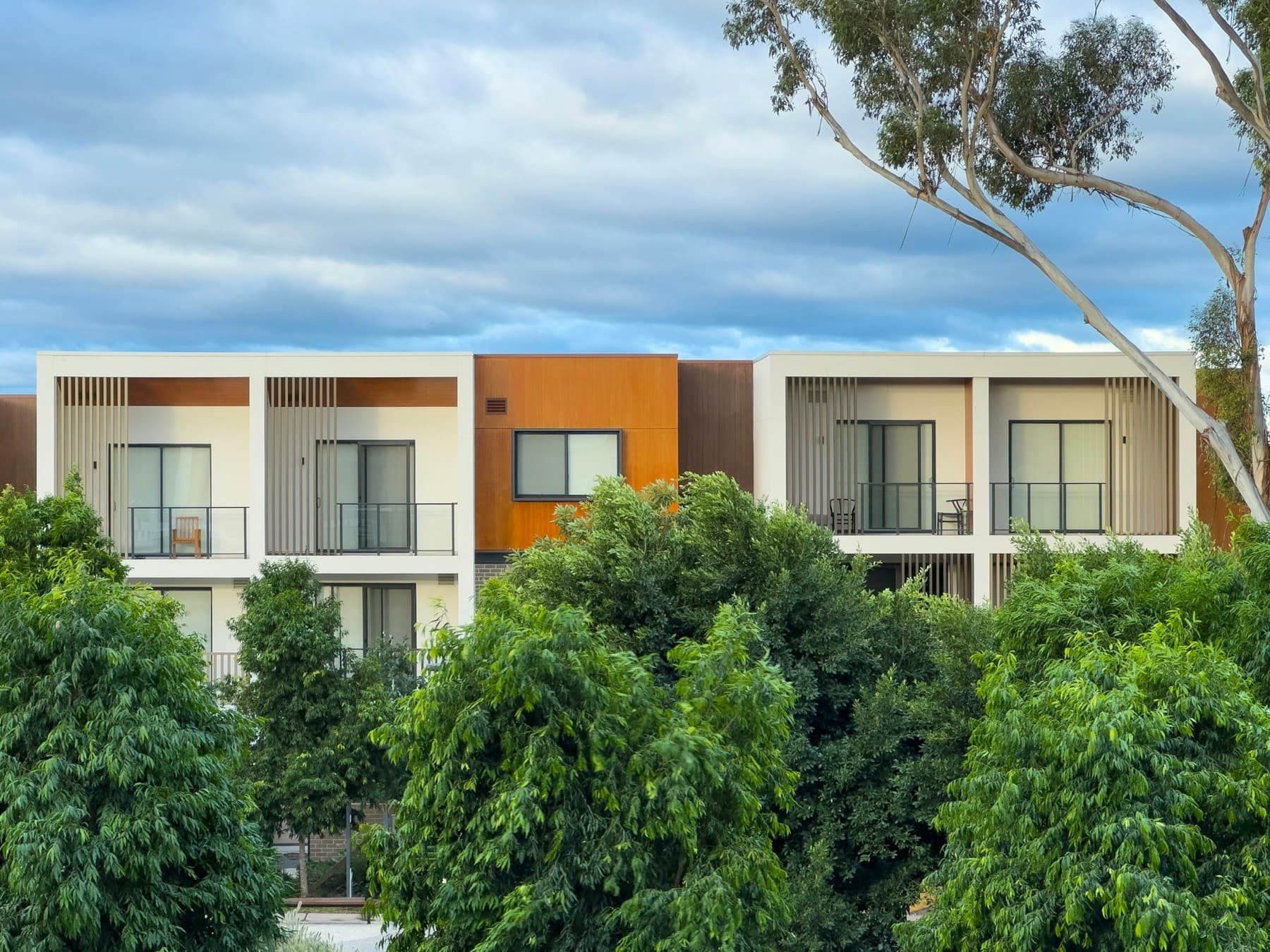 A row of townhouses beside a gum tree